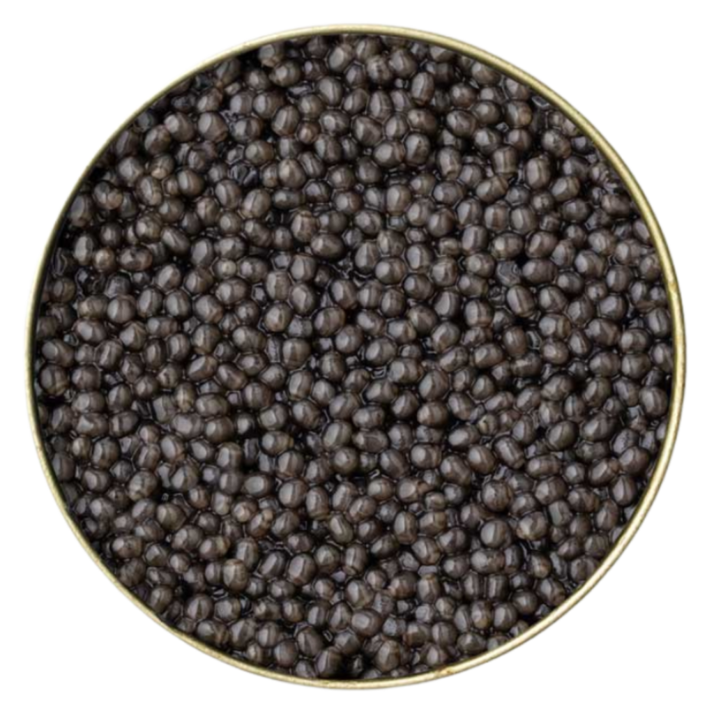 Beluga CRU AEmillius Caviar